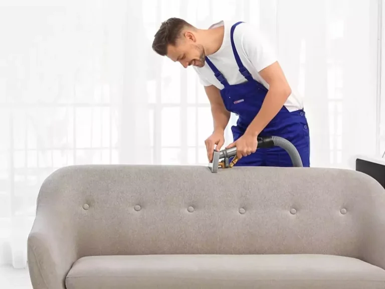 upholstery cleaning, carpet cleaning website