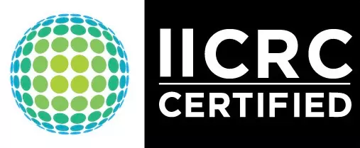 certified carpet cleaning technicians