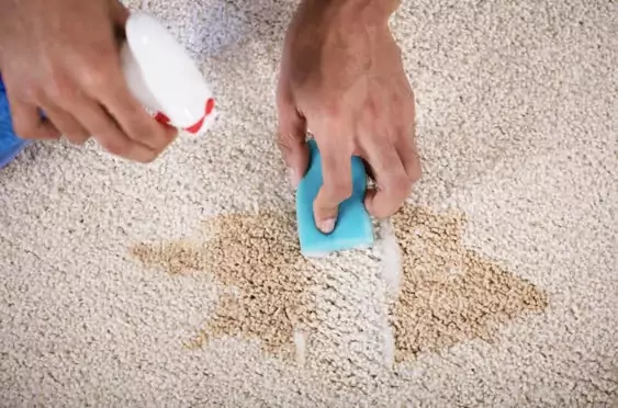 Carpet Cleaning Solutions carpet stain removal