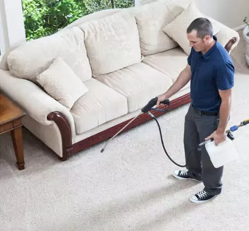 Carpet Cleaning Solutions carpet stain protection