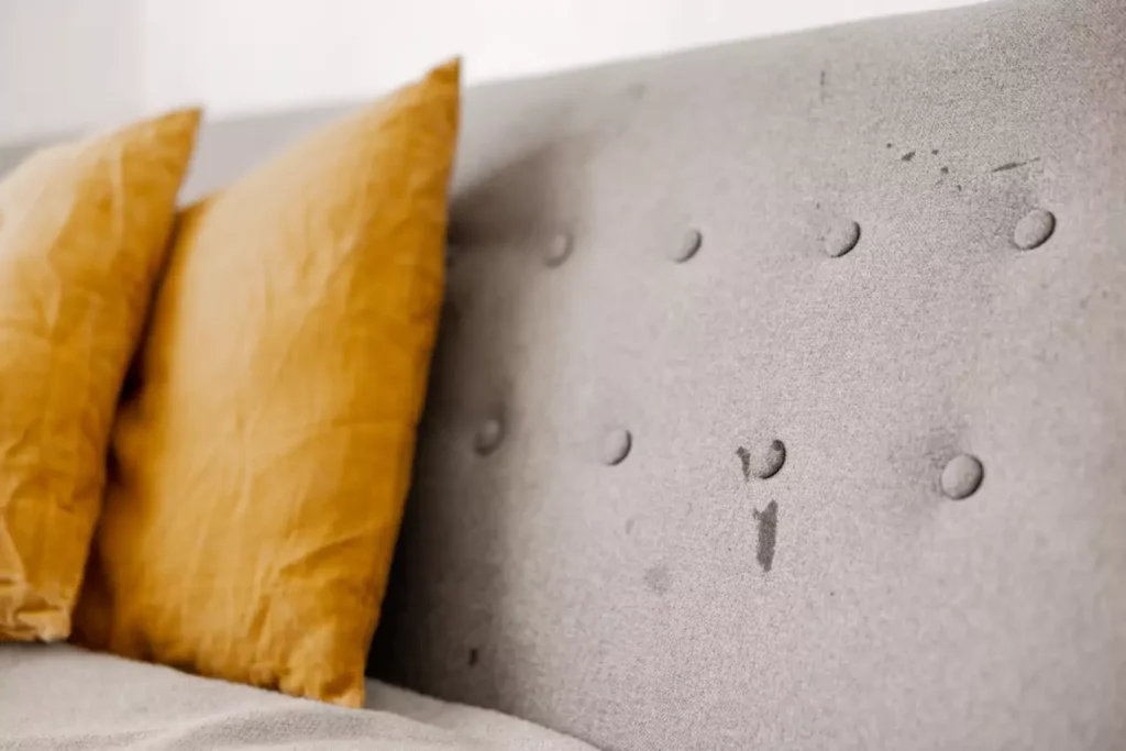 Upholstery Cleaning Solutions sofa stain removal