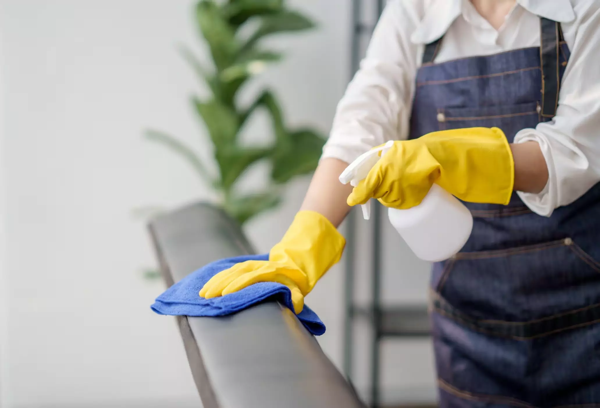 Upholstery Cleaning Solutions upholstery stain protection